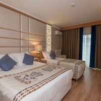 accessible_room_v6934251.jpg